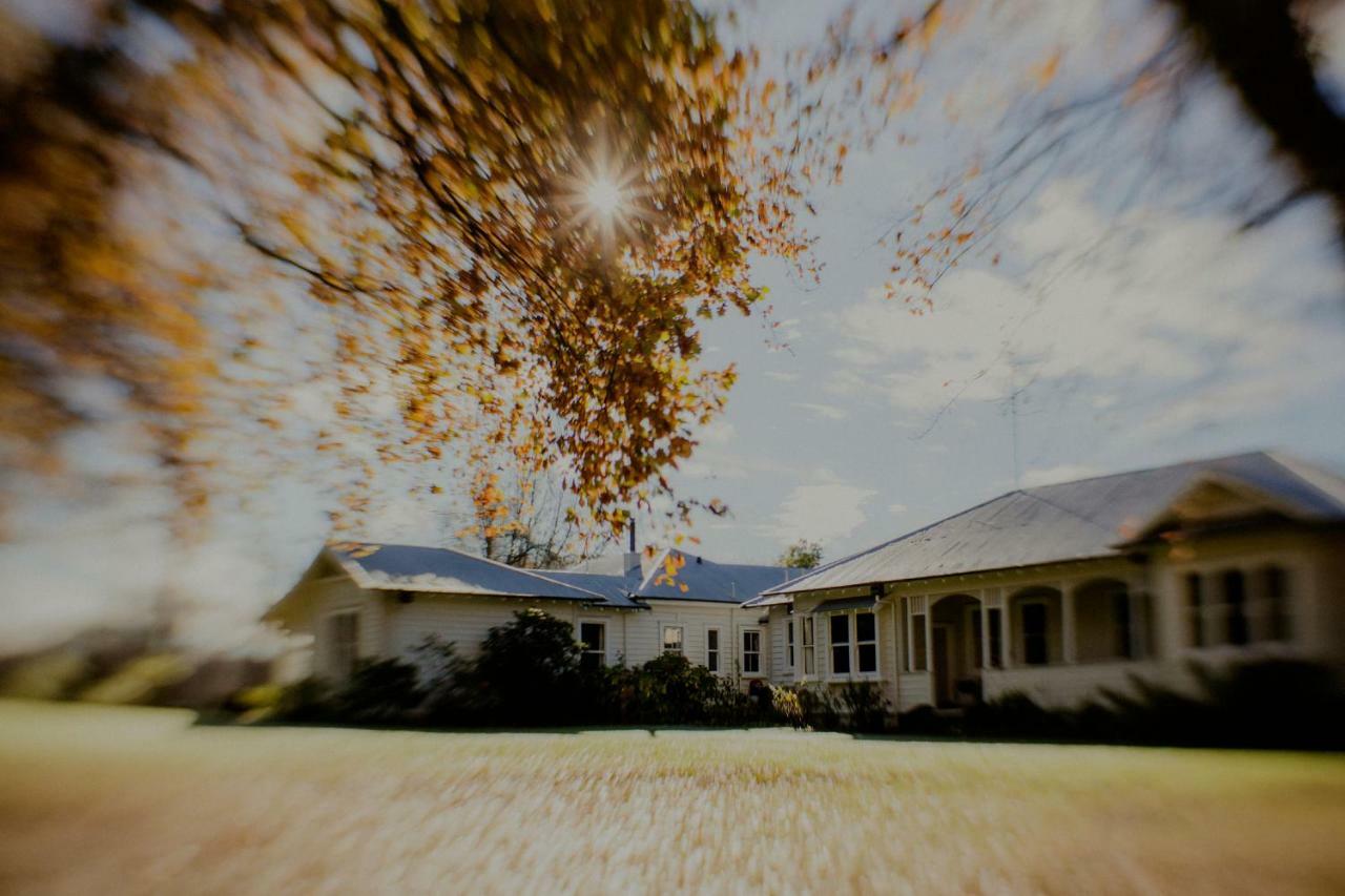 Wallingford Homestead Exteriör bild